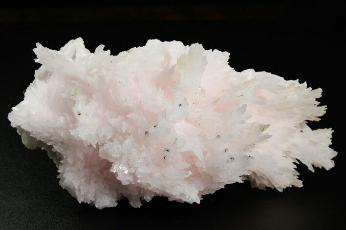 Pink Manganoan Calcite Crystal Cluster - Fluorescent! #361512